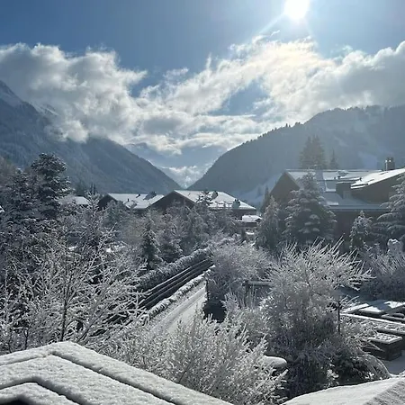 Luxurious Alpine Flat With Amenities Holiday home Gstaad
